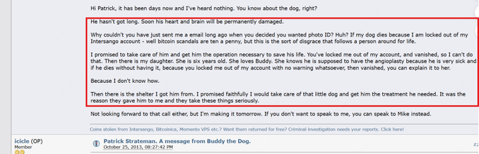Bitcointalk reply from icicle pleading for Buddy, who needed heart treatment